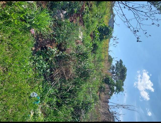 LAND FOR SALE IN SUNNYRIDGE